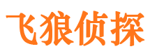 江孜市调查公司